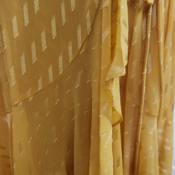 🆕️⬇️🎉HOST PICK🎉 Maison Tara Clip Dot Chiffon Maxi Dress - Picture 15 of 15